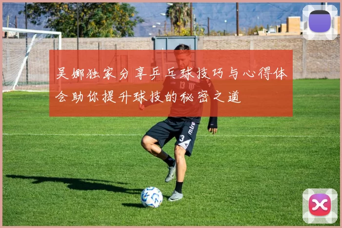 吴娜独家分享乒乓球技巧与心得体会助你提升球技的秘密之道