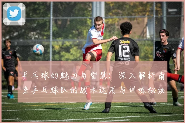 乒乓球的魅力与智慧：深入解析南京乒乓球队的战术运用与训练秘诀
