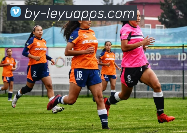 leyu平台发展历程